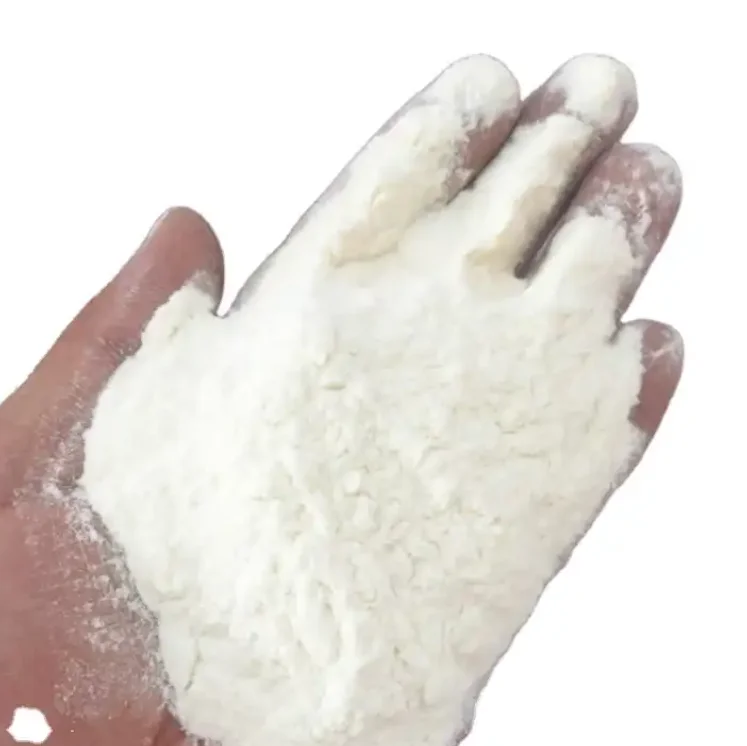 Redispersible polymer powder RDP used for wall putty