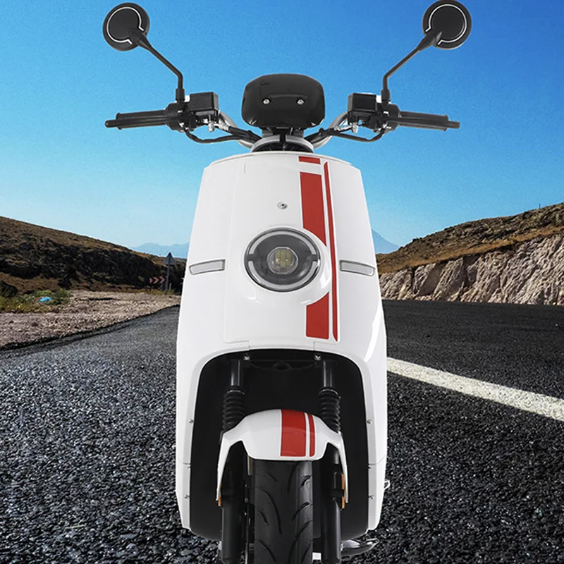 new adult cheap 2 seats two wheel electric bicycle for sale with EEC COC certificate