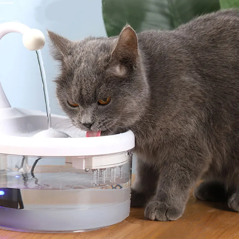 Manufacture  Cat Water Dispenser Automatic Plastic Pet Drinking Fountain For Cats