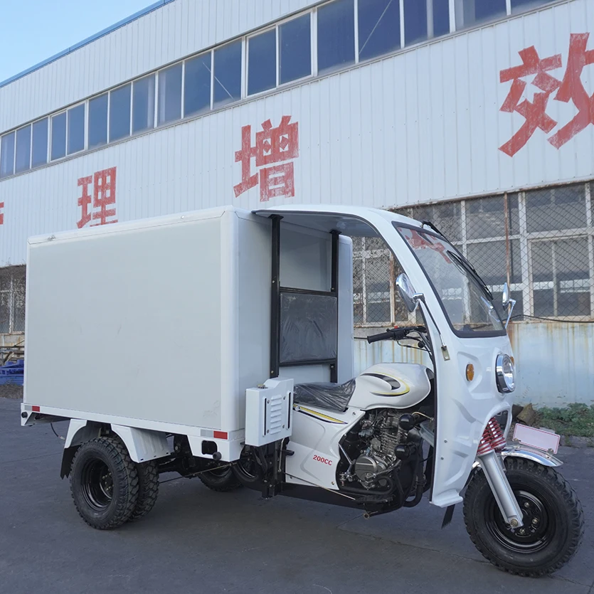 Китай YaoLong 3-колесный бензиновый мотоцикл 150cc 200cc 250cc взрослый трехколесный