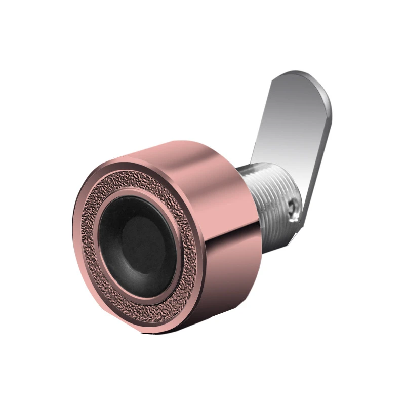 Smart Fingerprint Cabinet Locker cam Lock for Mailbox  hotel and  office furniture cabinet