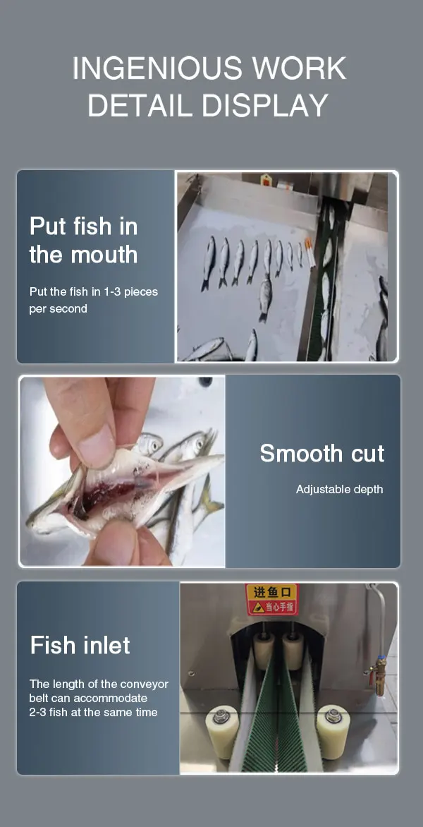 Commercial teleportation fish killing open back convenient and fast