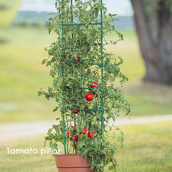 Factory Outlet Creative Wall Mounted Succulent Garden Flower Plant Tomato Cage Climbing Frame