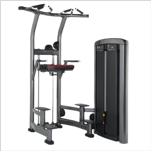 RuiBu-9037 Wholesale New Design Exercise Functional Trainer Machine Commercial Gym Fitness Equipment Assisted Chin/Dip