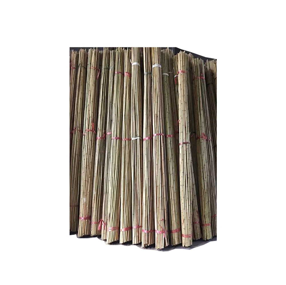 plastic coated bamboo pole for support or you want