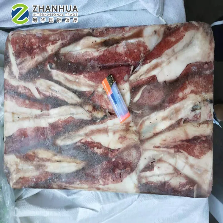 Giant Squid Tail Raw Squid Meat Peru Giant Squid Tail Meat