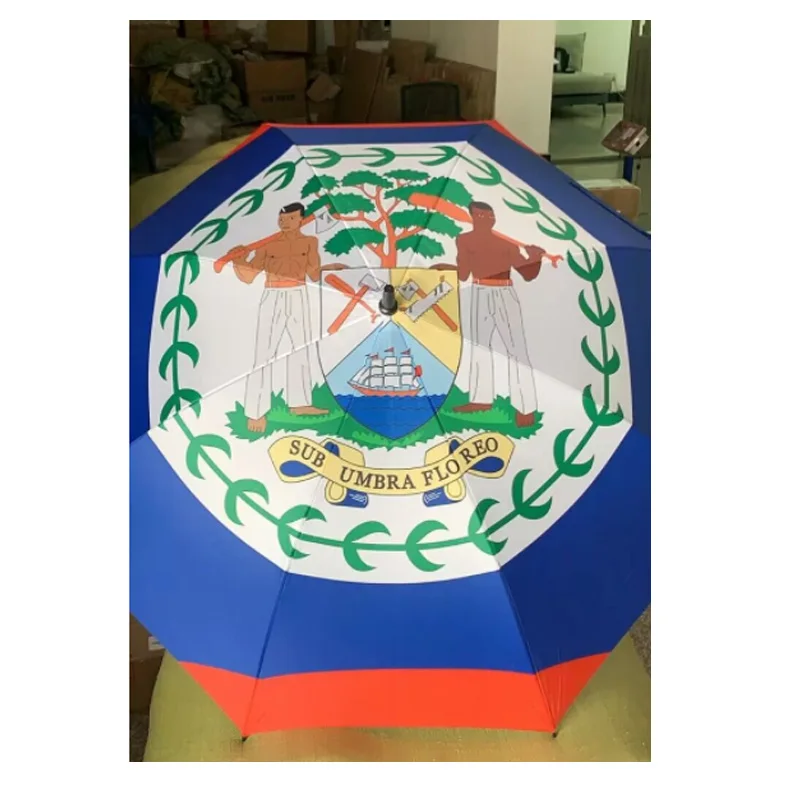 Hannuo Selling Individual Package Activities Event Business Gift Eritrea Country Flag Automatic Folding Umbrella with logo