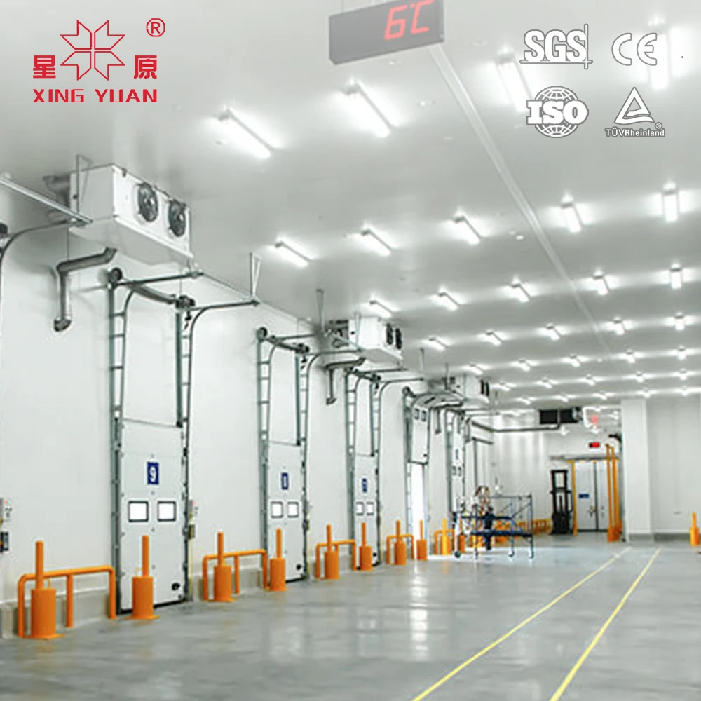 Chinese Manufacturer mushroom cold room refrigeration equipment cold room