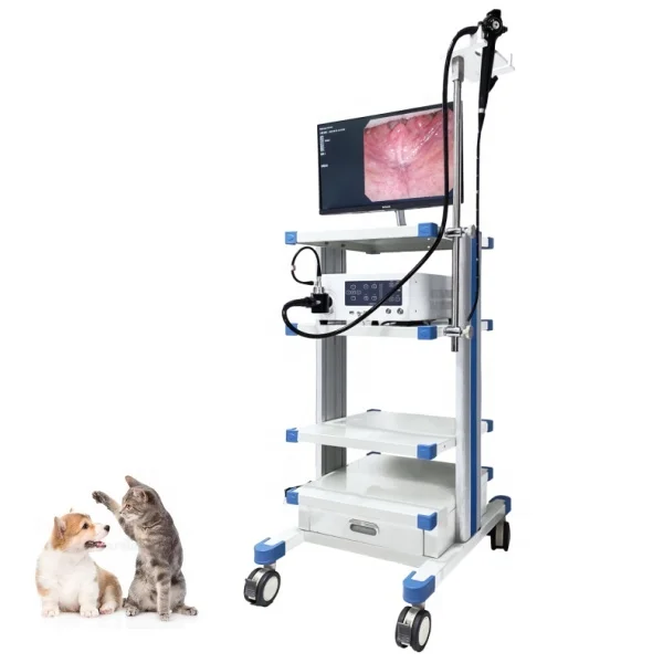 VET Veterinary Adjustable Pet Endoscope Veterinary Instrument Vet Video Gastroscope For Pet Clinic