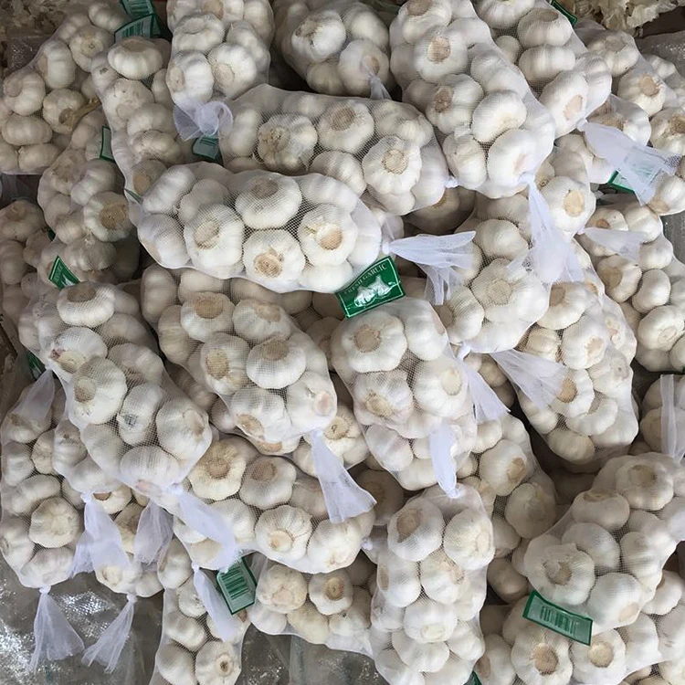 Garlic Supplier Pure White Garlic in Carton