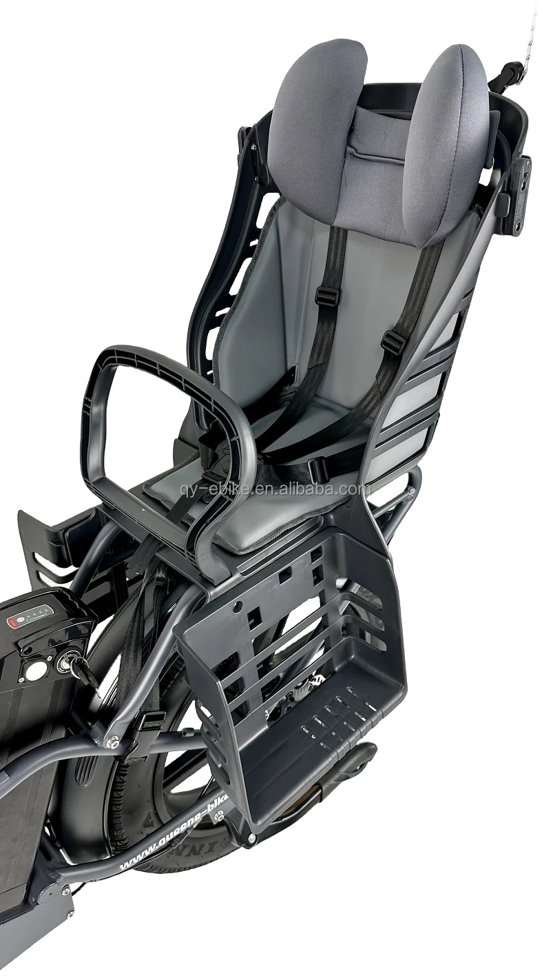 QUEENE/Free Shipping warehouse 20inch 48v 15ah lithium battery Mountain E Bike with 750W 1000W motor for Adult bike electric