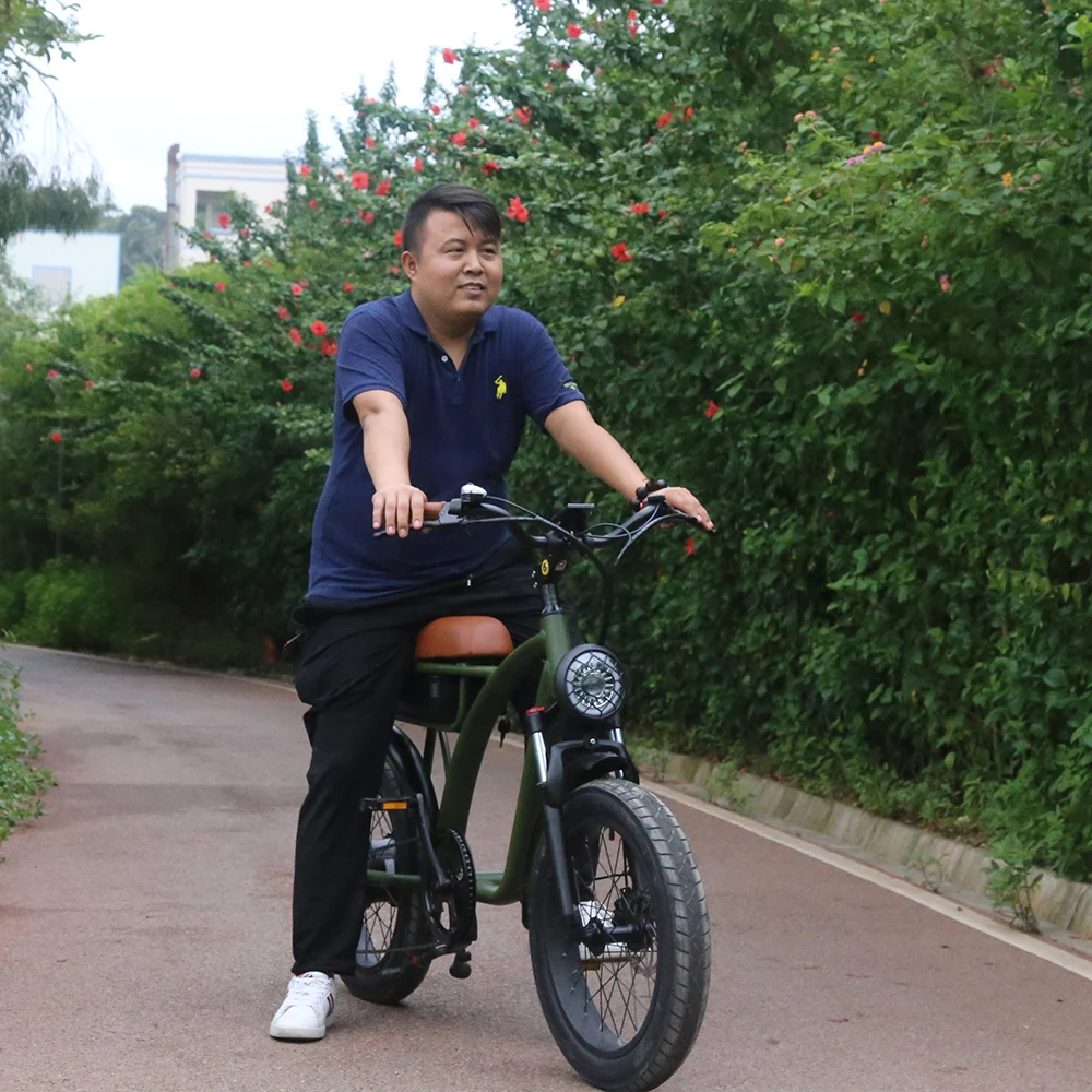 Eu Stock 20 Inch Fat Tire Electric Moped Bike 48v 25km/h 500W Rear Wheel Brushless Motor Electric Bicycle Outdoor E Bike