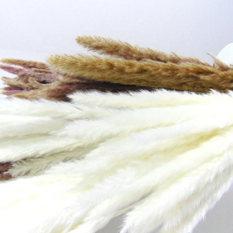 log price dried white 60cm pampas pink natural dried grass dried wheat grass