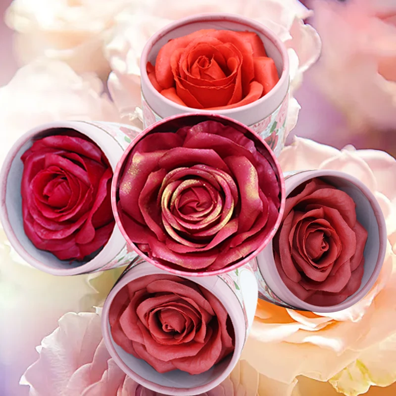 Makeup Revolution Blusher Reloaded Powder Blush Makeup Highly Pigmented All Day Wear Vegan & Cruelty Free Pink Lady