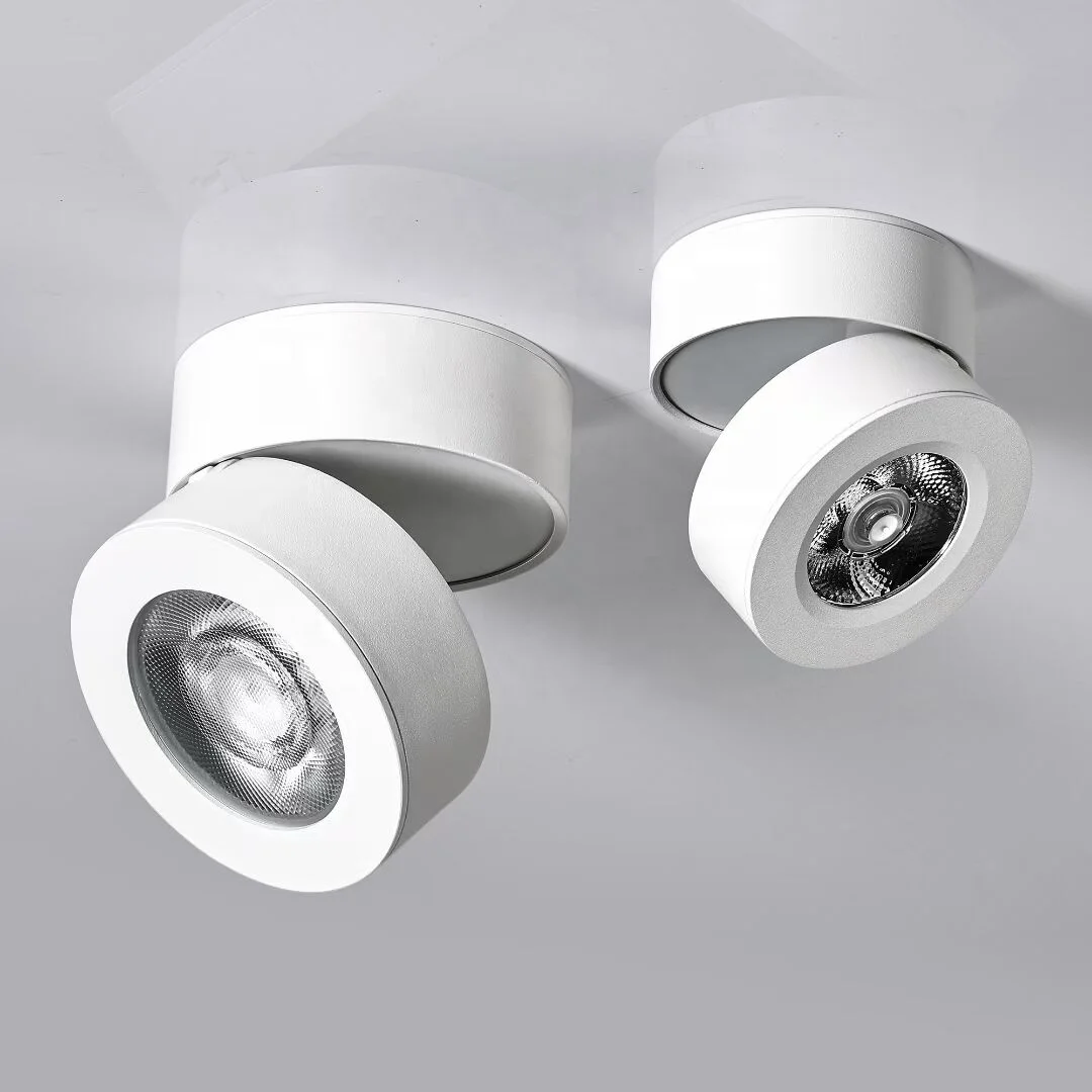 New arrival ceiling lights LED downlight surface mounted 10w handy brite decorative spotlight two heads adjustable