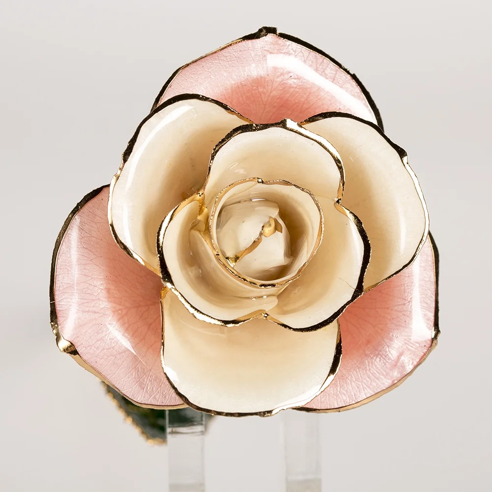 2020 Upgraded 24K Gold Dipped and Trimmed Real Preserved Fresh Eternal Rose Flower wholesale preserved roses factory