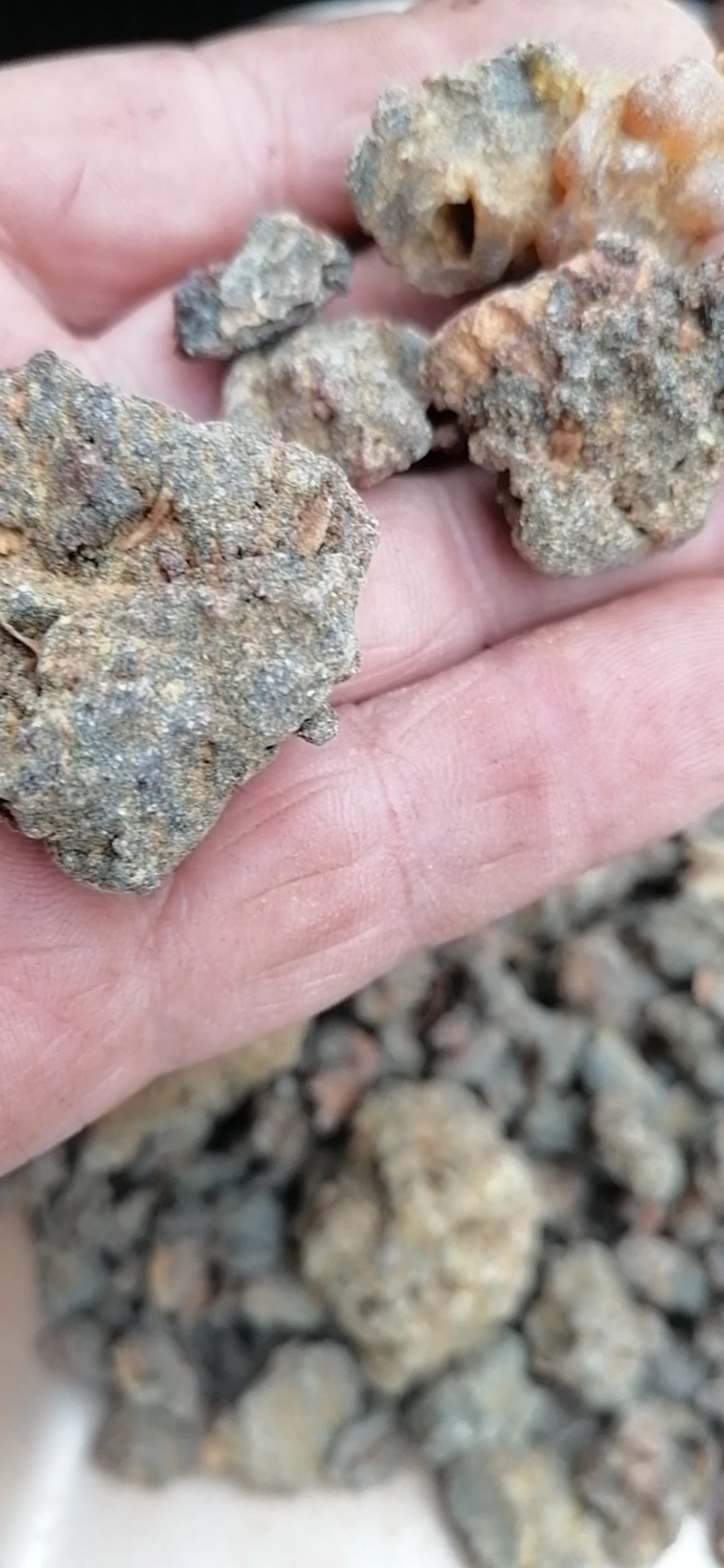 
High quality big size natural Sifted commiphora myrrha resin 