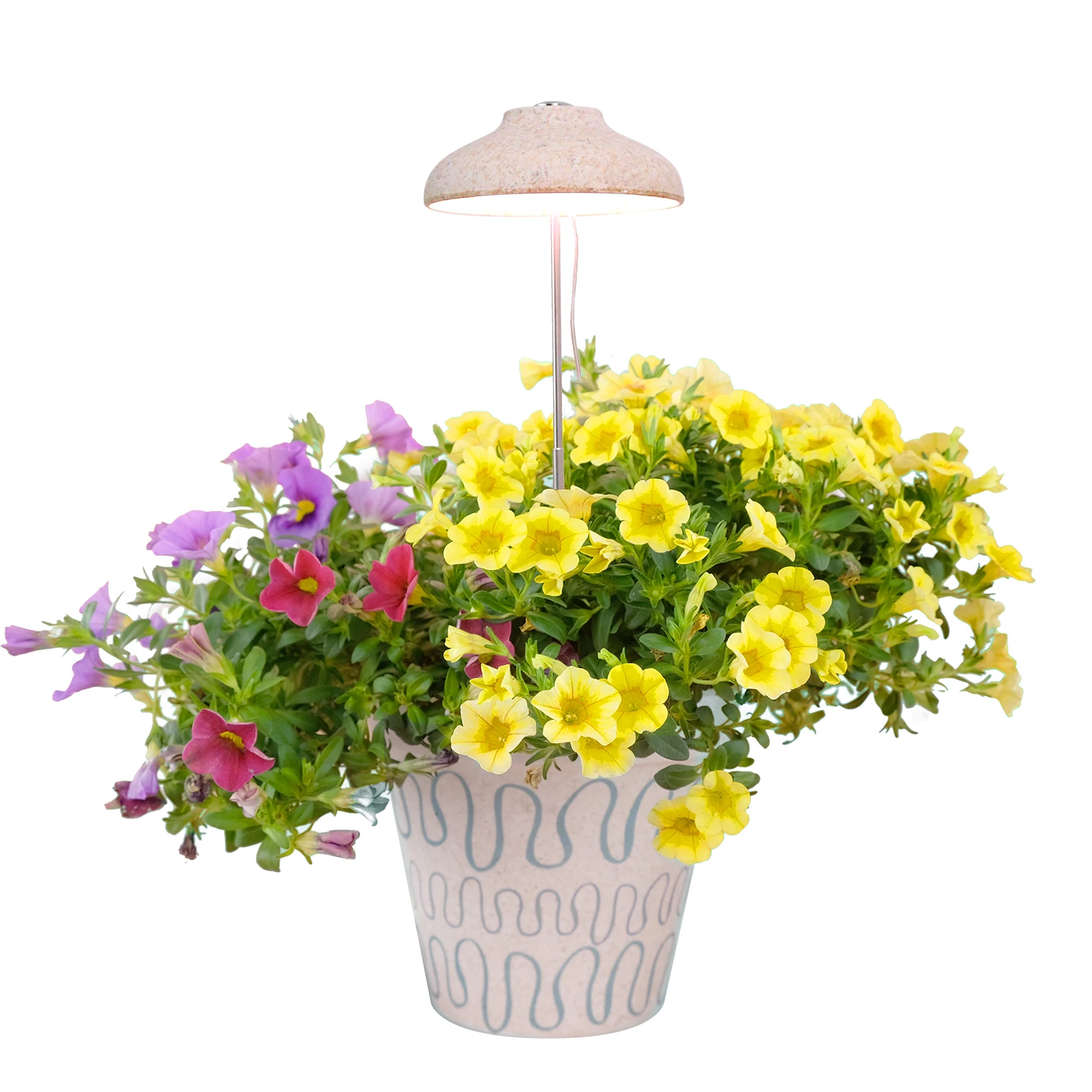 8.66 inch small grow lights for seedling growing planter lamp for seed starting adjustable plastic cover with ON Off switch