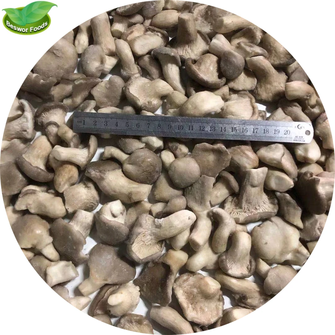 IQF frozen baby  oyster mushroom
