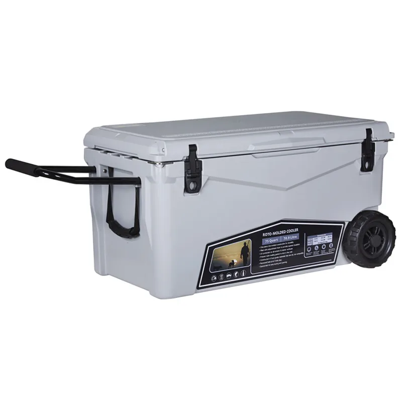 Custom Large Capacity Insulated  Tote Cooler box