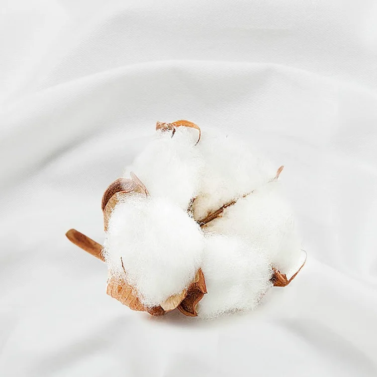 Living Room Cushion,5 star hotel premium quality 60*80cm 30% white goose down pillow