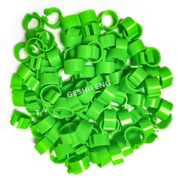 Wholesale Price Birds Plastics Racing Rings High Quality For Sale  Colorful Sizes No 100 Plastic Opening Circle Ring