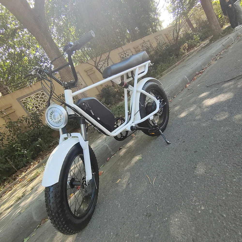 Yuanjian Cycle Long Range Electric Retro Style E Bike 750 Watt Fat Tire Bike Retro Vintage Cruiser eBike Vintage Electric Bicycle