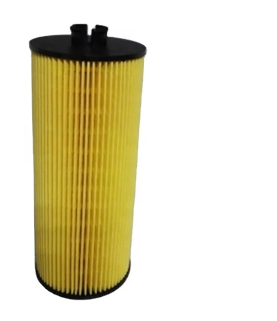 Oil Filter 080V05504-6096 For American and European Vehicle for W265 Sinotruk Howo T5G