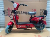 Internationally popular 40KM/h Electric Moped Scooter/electric mopeds for adults