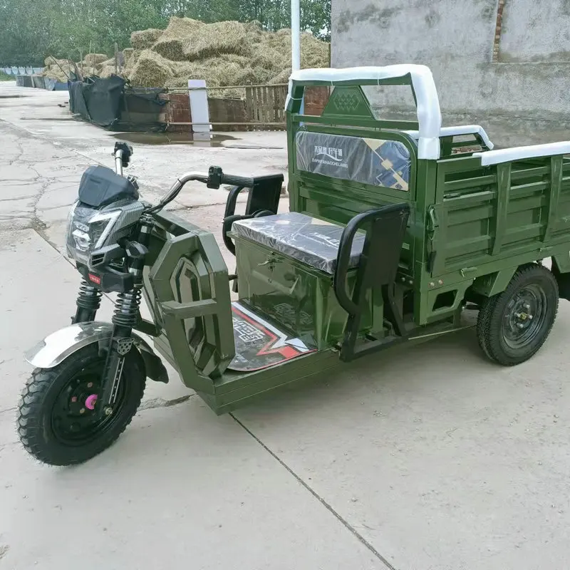 Made in CHINA tricycle cargo electric Colors in stock farm cargo tricycle electric tricycle stainless steel