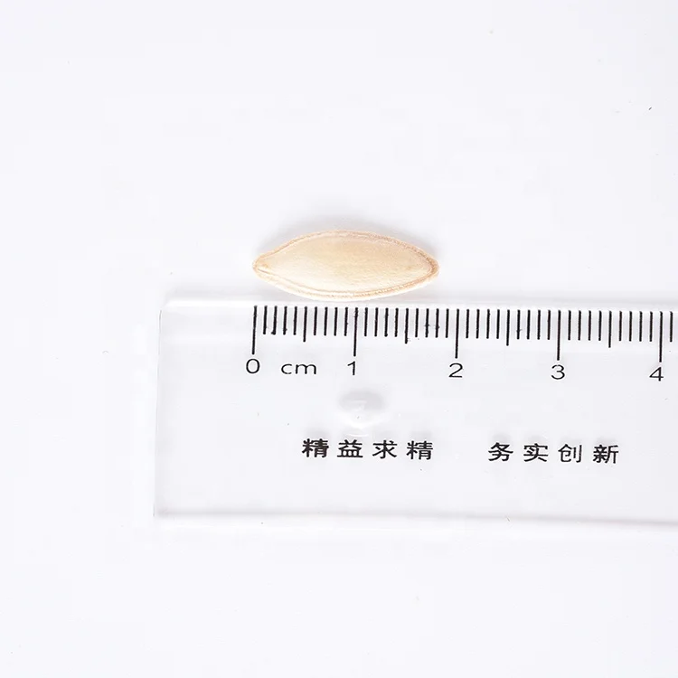 Fresh Pumpkin Seeds Food Snow White Wholesale Raw Grass Seeds Raw White 25/50 kg PP Bag