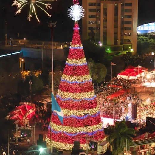 Luxury Large Christmas Decoration Giant Metal Frame  String Light Large Xmas Tree 3D Giant LED Christmas Tree