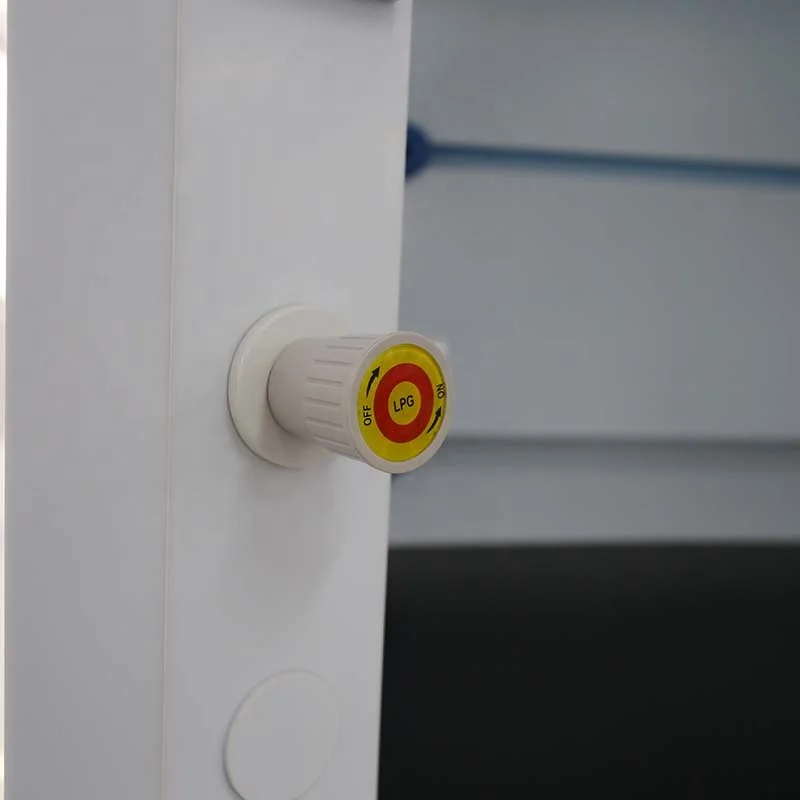 Biobase Ducted Fume Hood Microprocessor with anti-corrosive water tap and memory function Ducted Fume Hood for lab