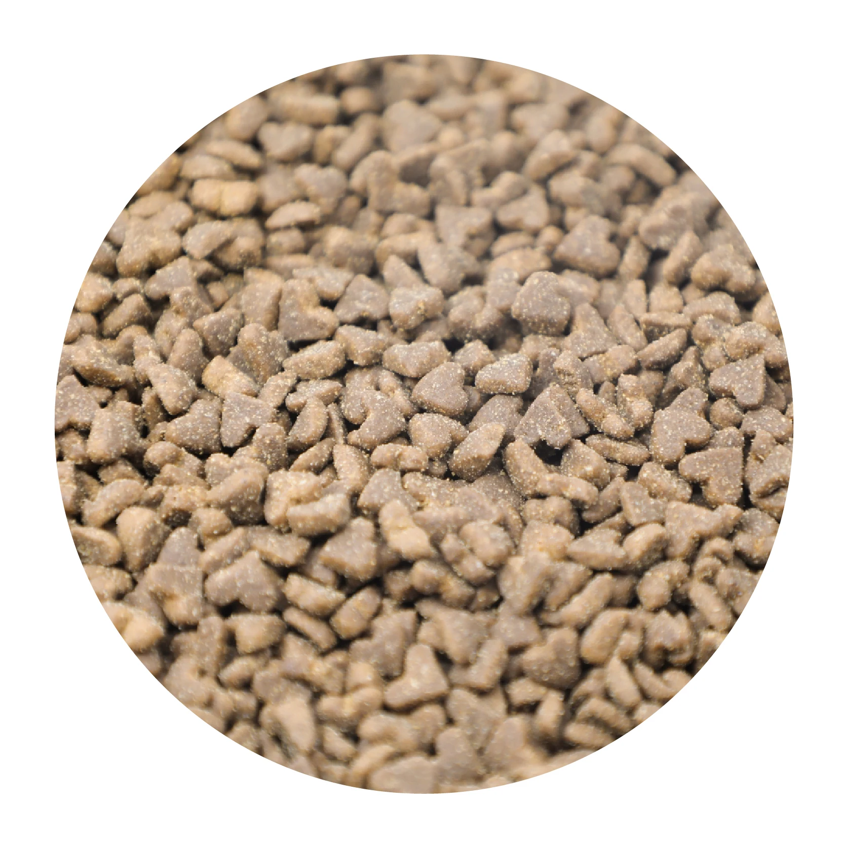 Complete Adult Dog Food Chicken & Duck Meat Formula