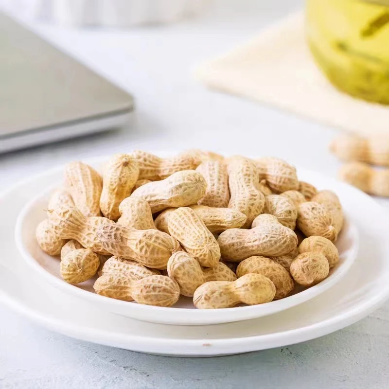 High Quality Export Dried Peanuts Hot Wholesale Snack Food China Roasted Peanuts