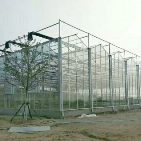 Multi-span  glass greenhouse hydroponic system agricultural planting greenhouse
