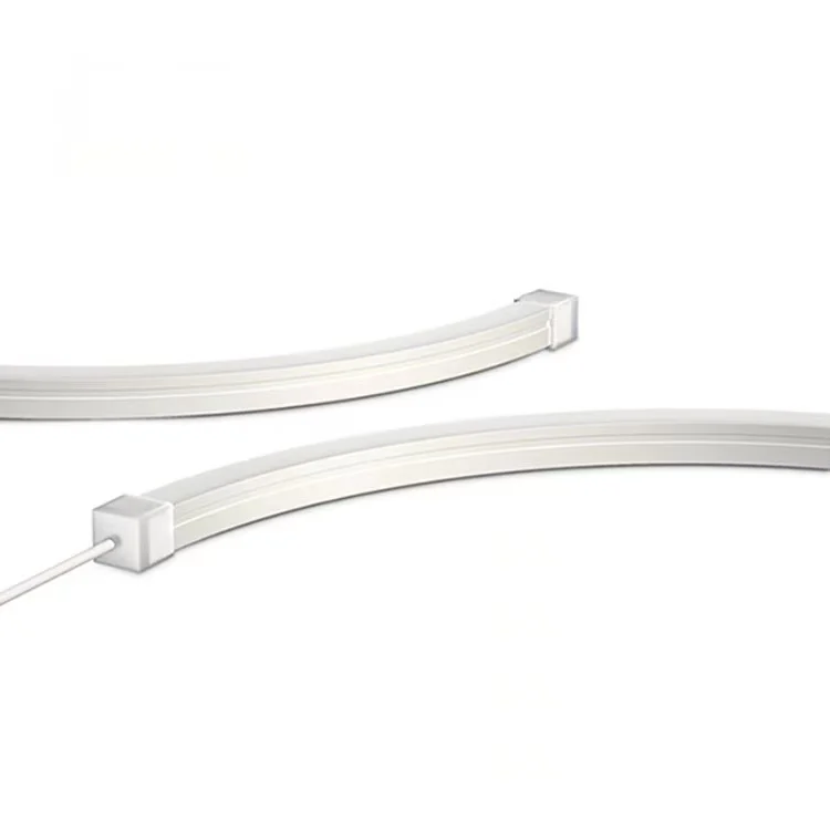 Drop Shipping Custom DC12V SMD 2835 Waterproof Silicon Flexible LED Neon Strip Light for home decor