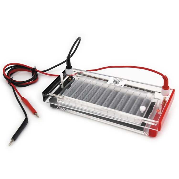 Rapid gel Fast Speed PCR Sample Analyzer DNA Electrophoresis apparatus System DYCP-44N