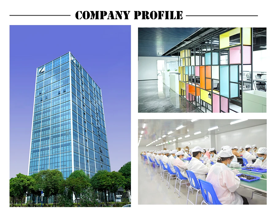 sunglasses company profile.jpg