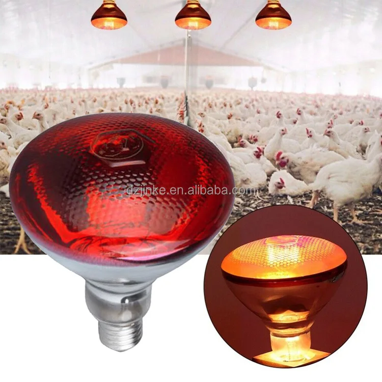 Инфракрасный нагревательный светильник для цыплят, свиней, взрывозащищенные светильники для птицефермы, птицеводства, лампа для обогрева для продажи