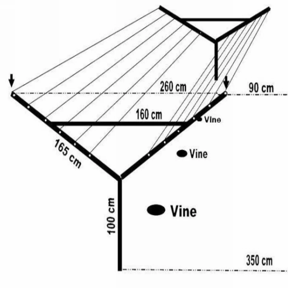 Open gable Vine Plants Vineyard Grape Stake Metal Vineyard Y/T Trellis Post  Triangle shaped grape post Sustainable