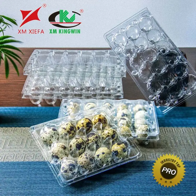 10 Holes Quail Eggs Tray PET Plastic Disposable Clear Blister Blister Packaging