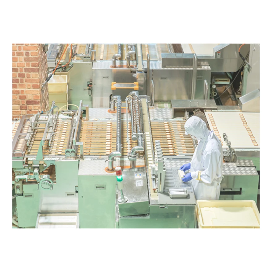 Japan glucosamine chondroitin tablet immune defense capsule supplement glucosamine chondroitin msm(OEM possible)