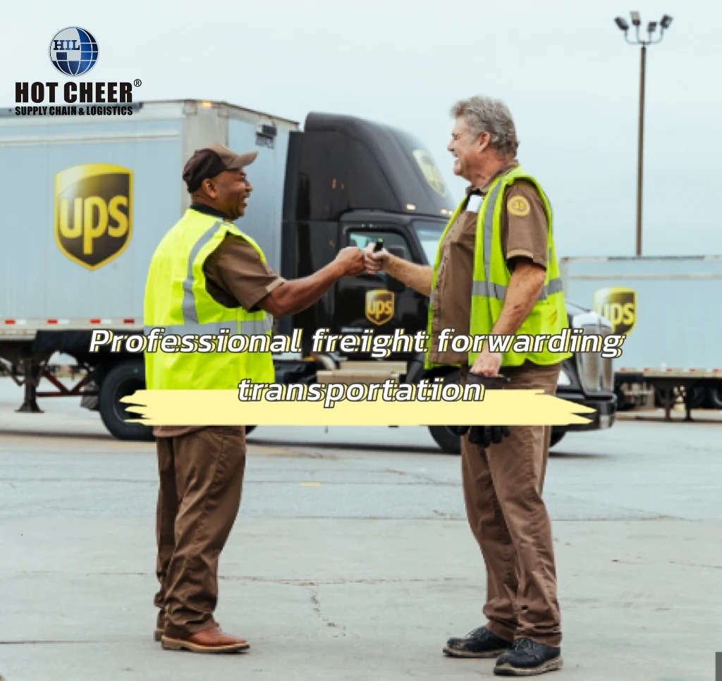 Cheapest dropshiping agent from China to Canada USA Australia France Germany England UK fba Wish Shopify DDP