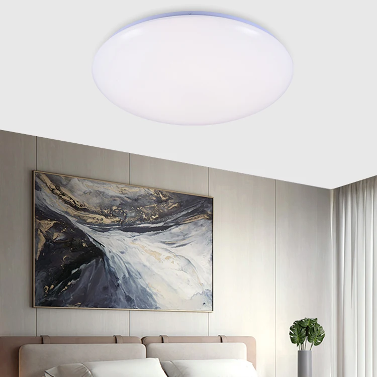 Wholesale China Product Round Interior Surface Mounted 24w 48w Smart LED RGB Ceiling Light