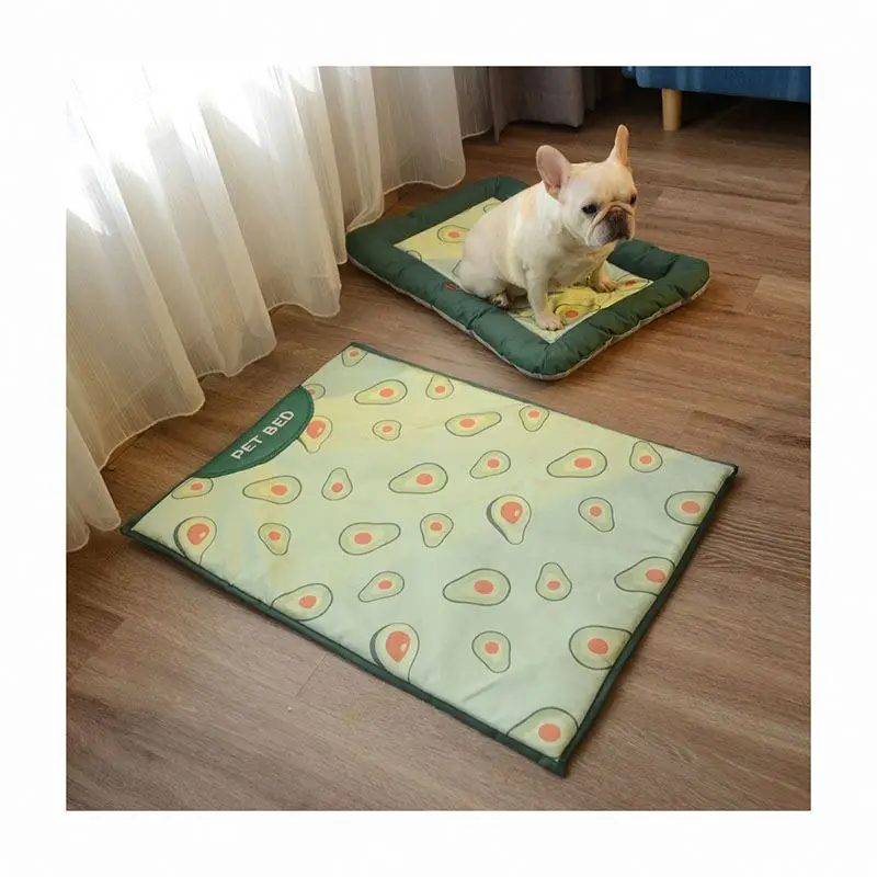 Pet beds for summer