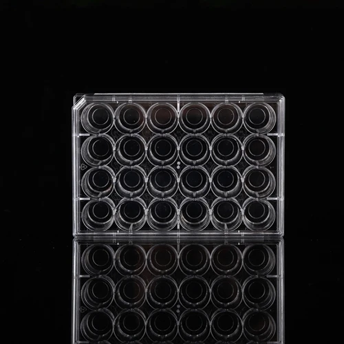 differential interference contrast microscope for cell observation Glass Bottom Culture Plate