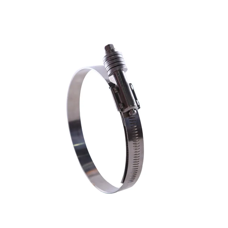 Stainless Steel Heavy Duty European Type Hose Clamp for Automotive