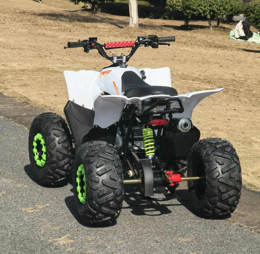 4-тактный 200cc мини-снегоход Polaris в горном стиле внедорожник с воздушным охлаждением снегоход китайский 125cc для продажи