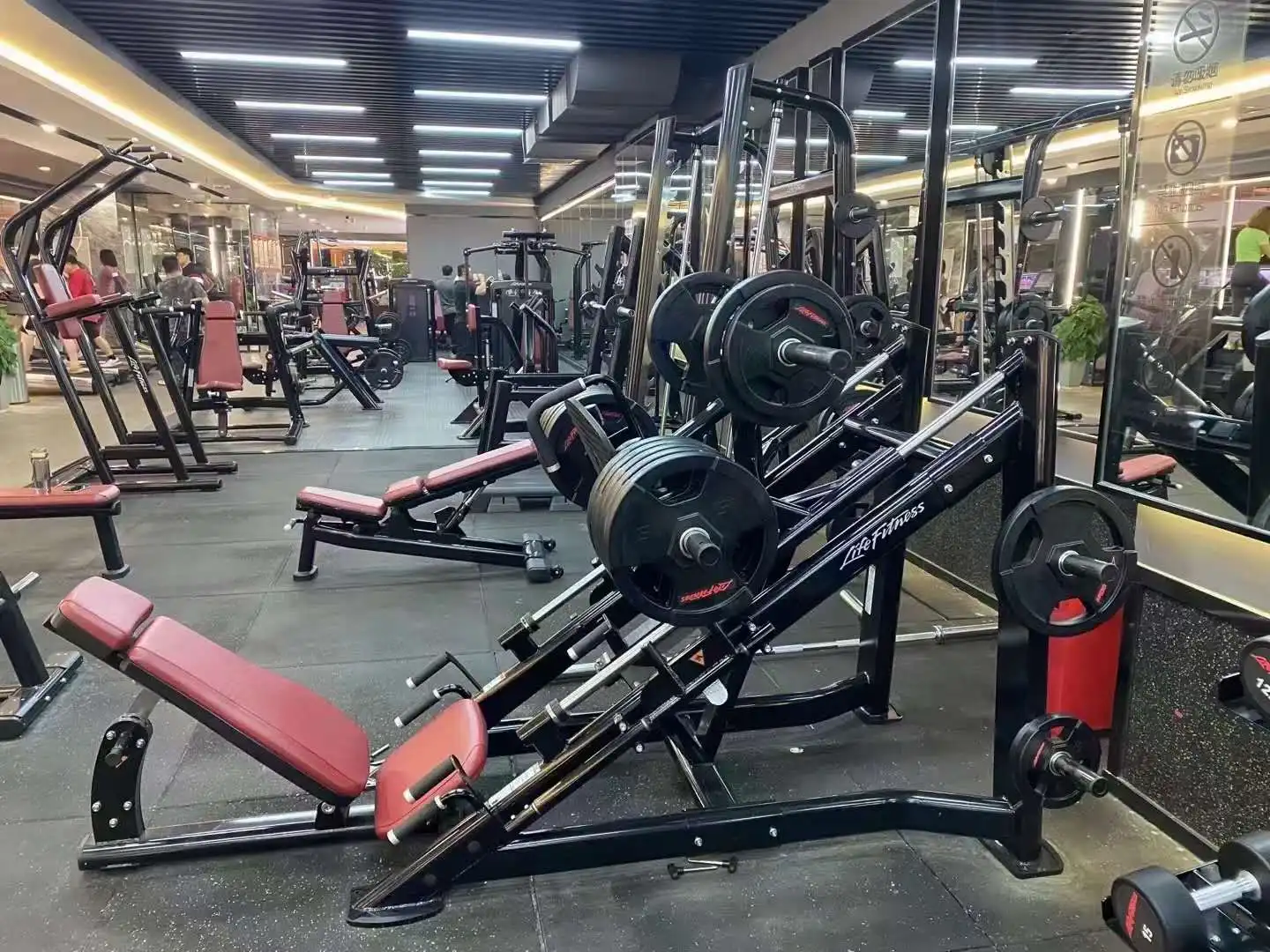 Commercial Body Building Machine 45 Degree Leg Press for Gym Equipment